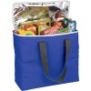 Arctic Zone 30 Can Foldable Cooler Bag